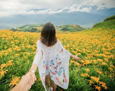 Khám phá ngay xứ sở hoa kim châm đẹp như tranh vẽ ở Đài Loan