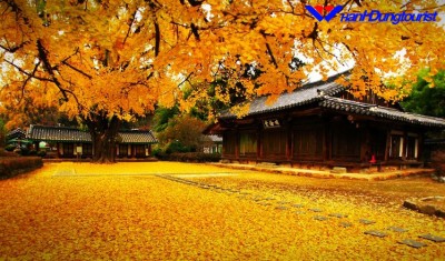 7 Địa Điểm Đẹp Nhất Vào Mùa Thu Ở Hàn Quốc Không Thể Bỏ Qua