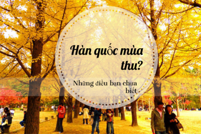 Lý do bạn nên đi du lịch Hàn Quốc mùa thu