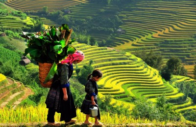 HÀ NỘI - SAPA