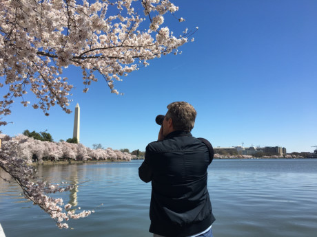 Những cánh hoa đào khoe sắc thắm phía trước một công trình ở Washington.