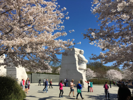 Những cánh hoa đào khoe sắc thắm phía trước một công trình ở Washington