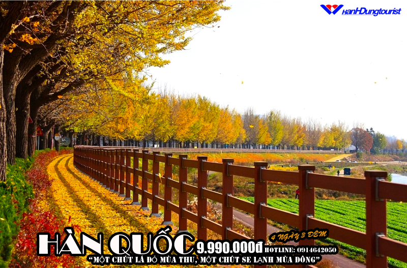 Du lịch Hàn Quốc giá rẻ