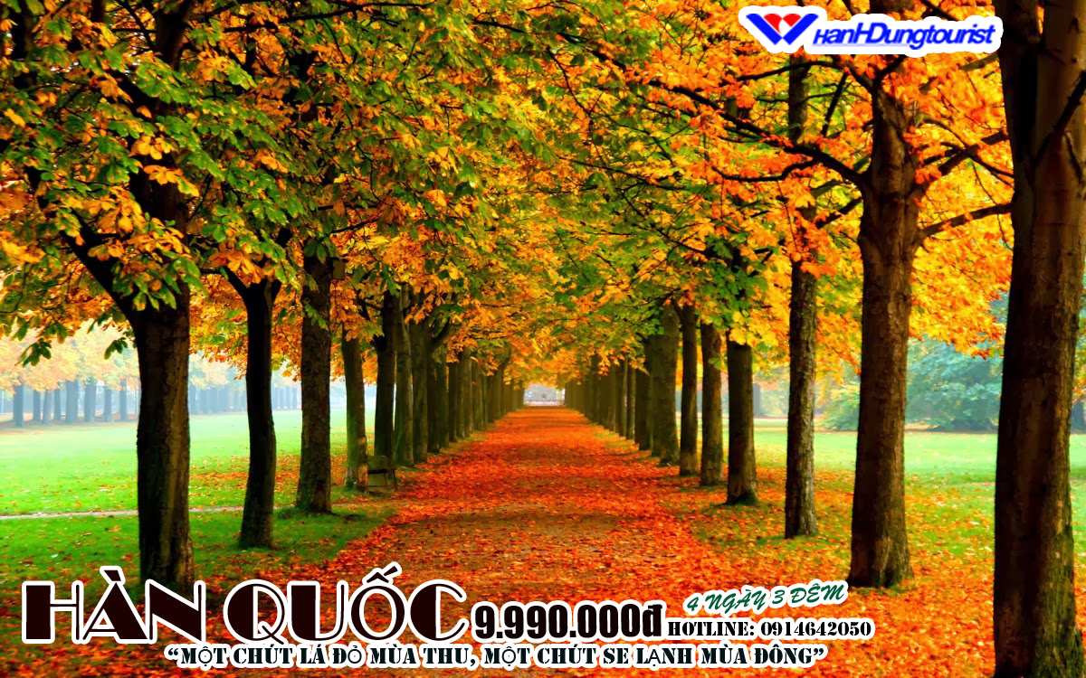 Du lịch Hàn Quốc giá rẻ