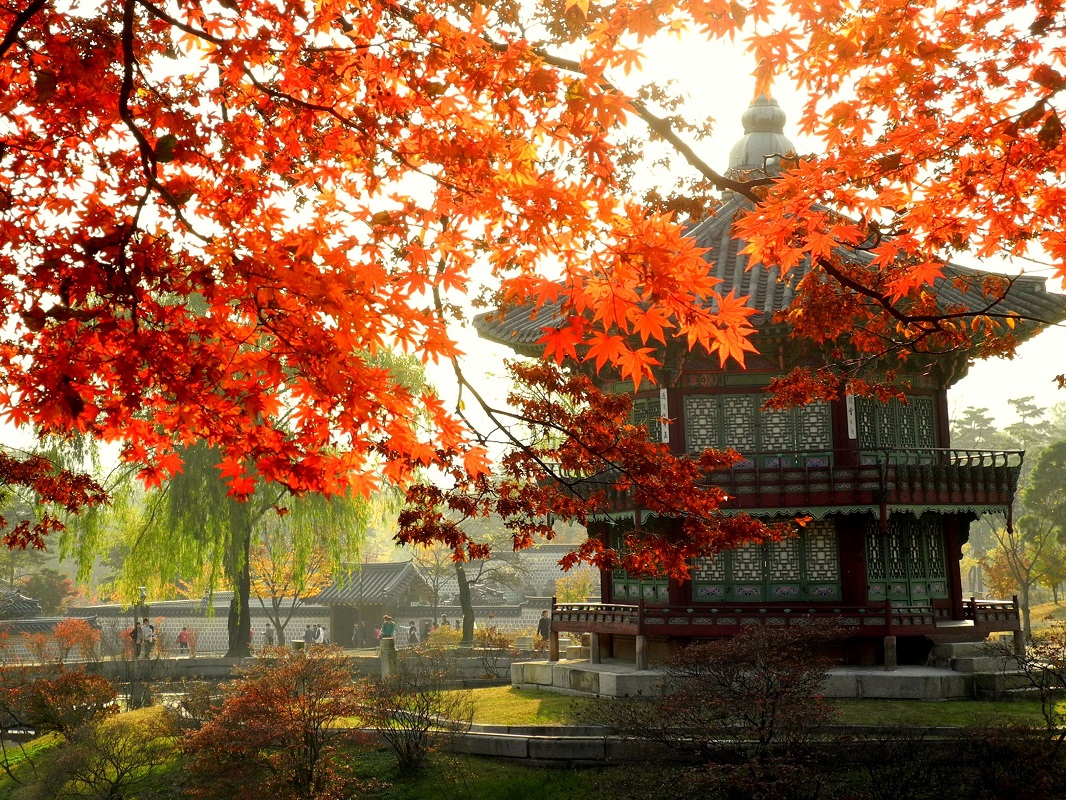 Đảo Nami - Chuncheon