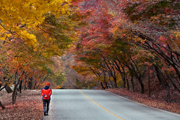 Núi Naejangsan - Jeongeup-si, Jeollabuk-do