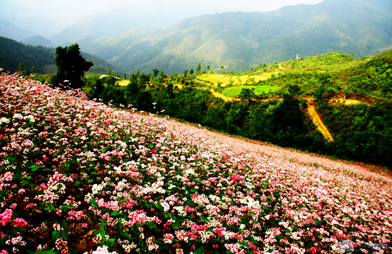 du lich ha giang