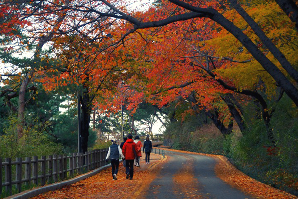 Núi Namsan - Seoul