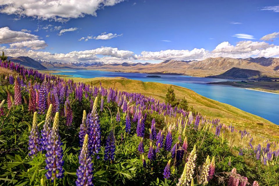 Khung cảnh mùa thu tuyệt đẹp ở New Zealand