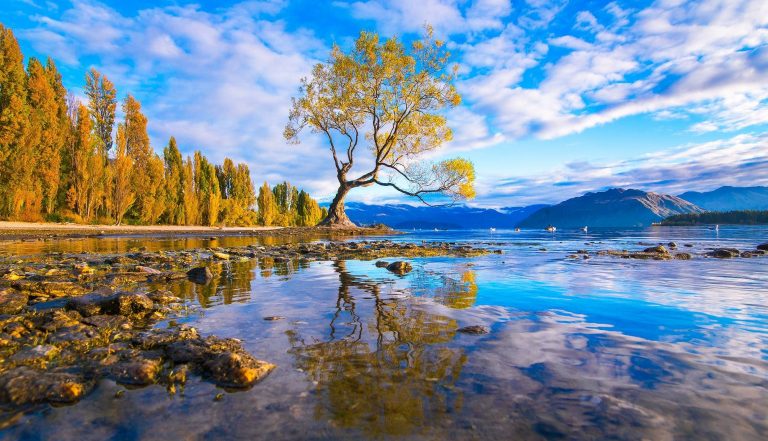 Khung cảnh mùa thu tuyệt đẹp ở New Zealand