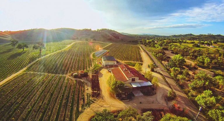 Paso Robles_Những thành phố du lịch Mỹ hấp dẫn bạn nên ghé thăm ít nhất một lần