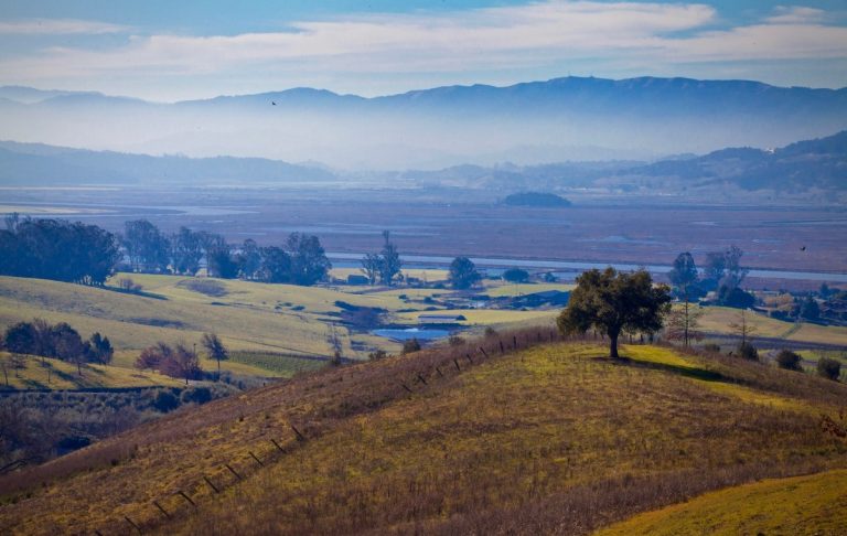 Sonoma County_Những thành phố du lịch Mỹ hấp dẫn bạn nên ghé thăm ít nhất một lần