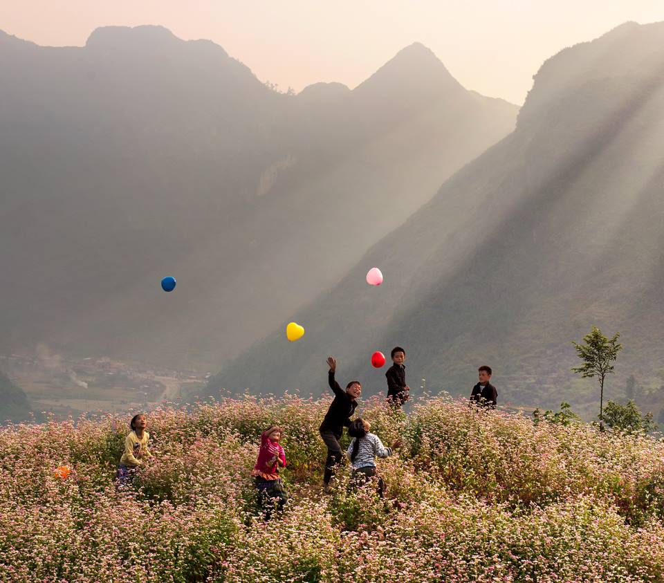 THÁNG 10 MÙA HOA TAM GIÁC MẠCH