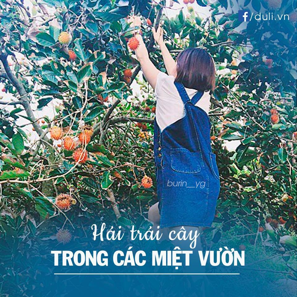 Tháng 8 Này Mình Nên Đi Đâu?
