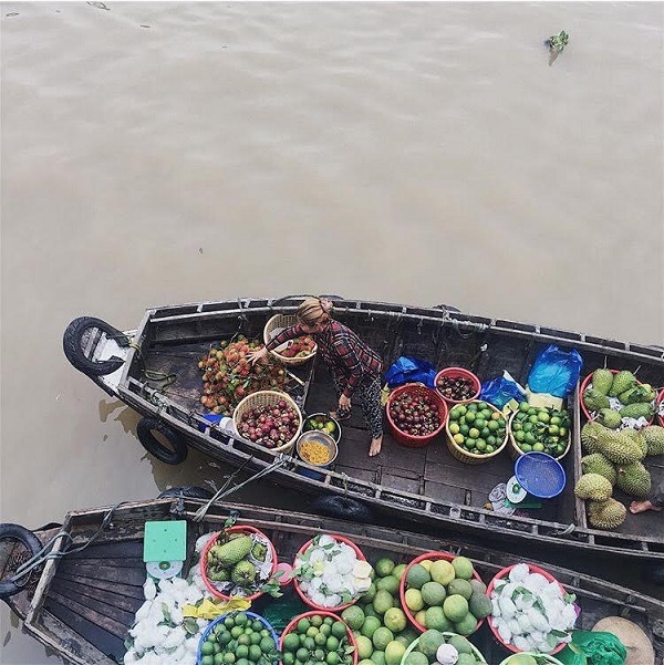 Thu sang quên lá vàng miền Bắc đi về với miền Tây đón mùa nước nổi