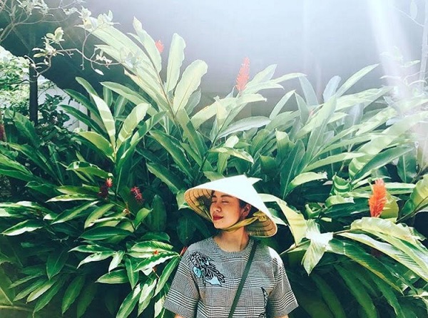 Thu sang quên lá vàng miền Bắc đi về với miền Tây đón mùa nước nổi