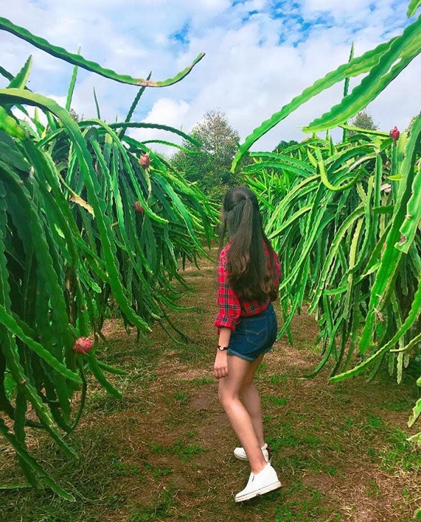 Thu sang quên lá vàng miền Bắc đi về với miền Tây đón mùa nước nổi