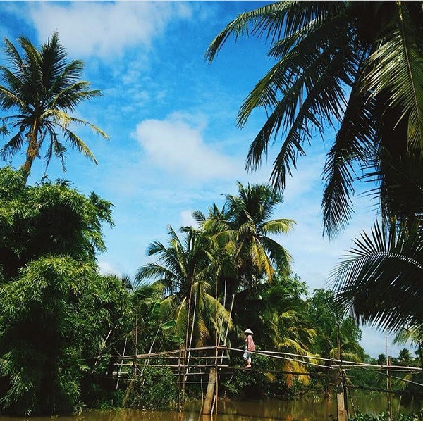 Thu sang quên lá vàng miền Bắc đi về với miền Tây đón mùa nước nổi