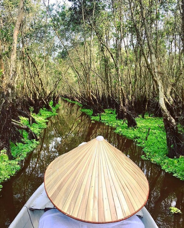 Thu sang quên lá vàng miền Bắc đi về với miền Tây đón mùa nước nổi