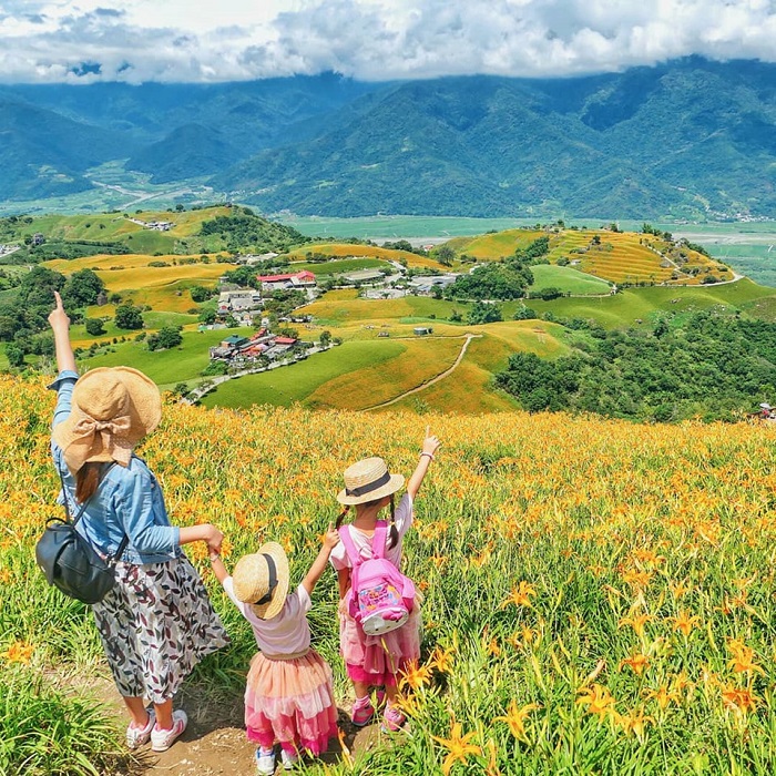 Khám phá ngay xứ sở hoa kim châm đẹp như tranh vẽ ở Đài Loan