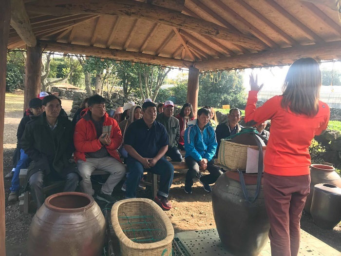 Tour Hàn Quốc Tháng 11 - JEJU - SEOUL - EVERLAND - NAMI