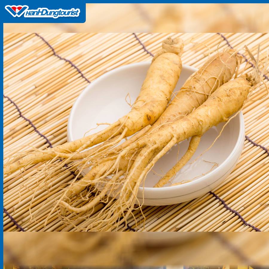 Thiên Đường Du Lịch Hàn Quốc