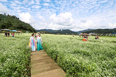 Những lễ hội mùa thu đặc sắc truyền thống tại xứ Hàn