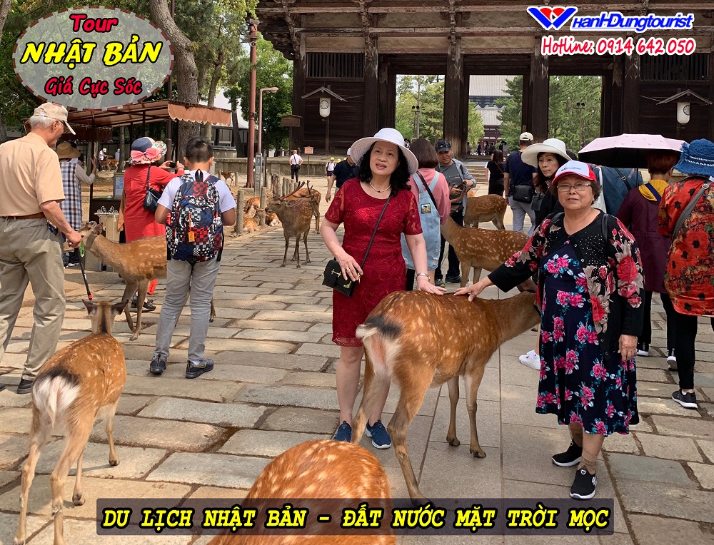 DU LỊCH NHẬT BẢN - Khám Phá Một Tokyo Hiện Đại Và Thưởng Thức Ẩm Thực Độc Đáo