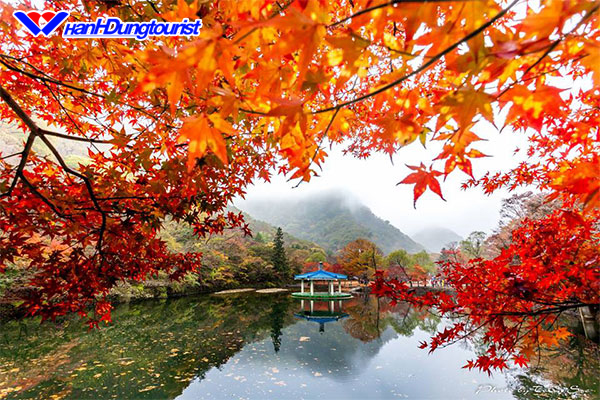 Nhật bản mùa lá đó
