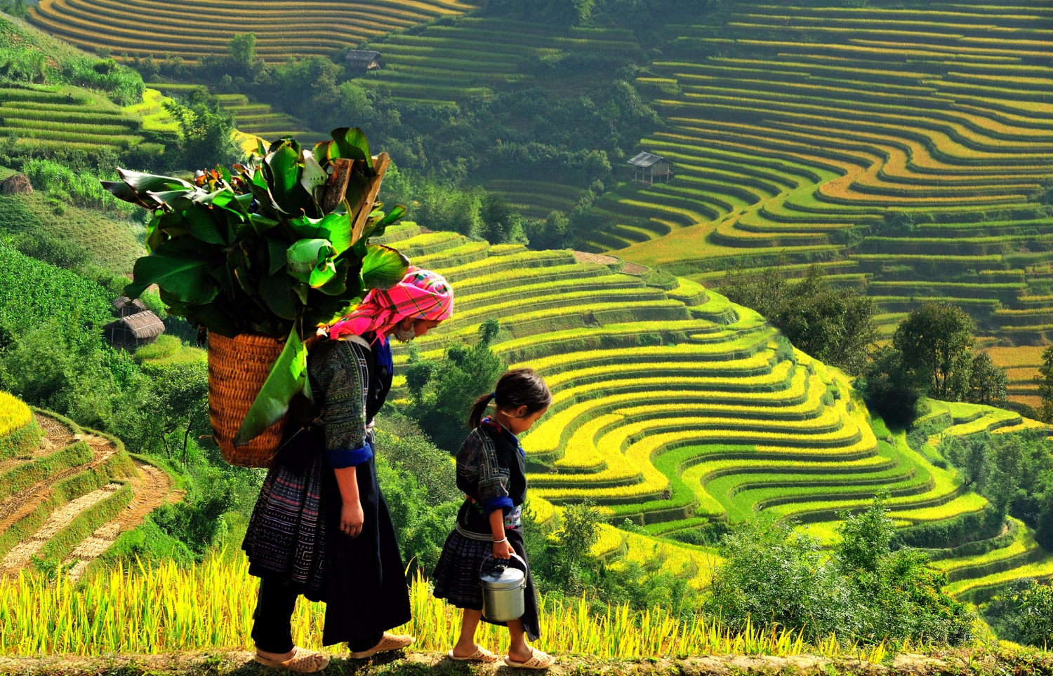 HÀ NỘI - SAPA 4